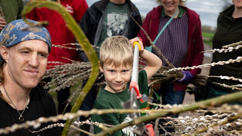 Haus Bürgel in Monheim: Korbweidenruten in der Urdenbacher Kämpe geerntet