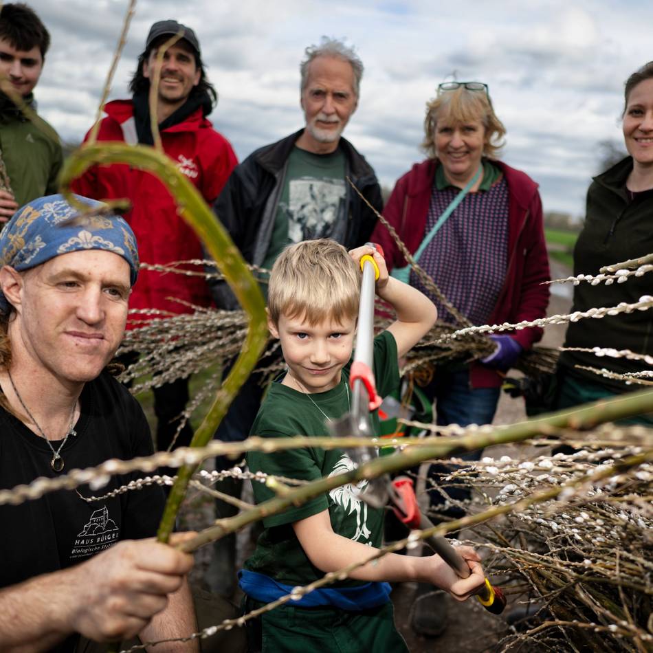 Haus Bürgel in Monheim: Korbweidenruten in der Urdenbacher Kämpe geerntet