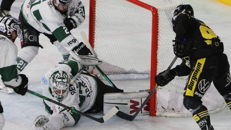 1:2 gegen Bietigheim Steelers: Party trotz Pleite – Pinguine im Energiesparmodus verlieren zum Hauptrunden-Abschluss