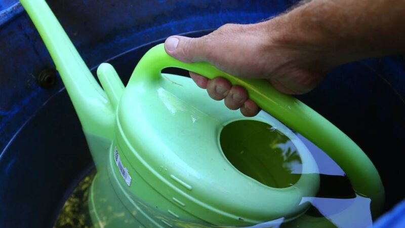 Verbraucherzentrale Moers: So hilft Regenwasser, im Haushalt Trinkwasser zu sparen