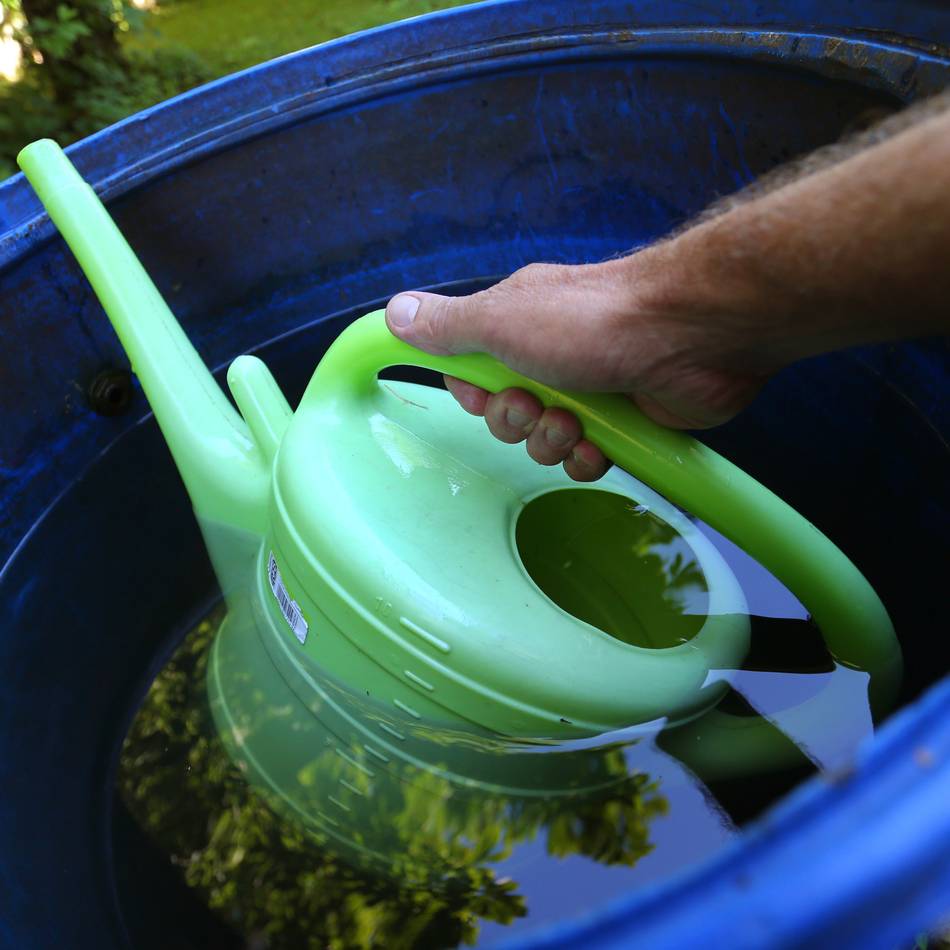 Verbraucherzentrale Moers: So hilft Regenwasser, im Haushalt Trinkwasser zu sparen