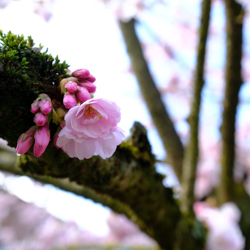 Kolumne Bildgedanken: Geschenk