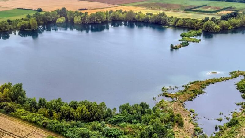 Vortrag in Leverkusen: „Großer Lauschangriff“ auf Vogelwelt am Hitdorfer Buschbergsee
