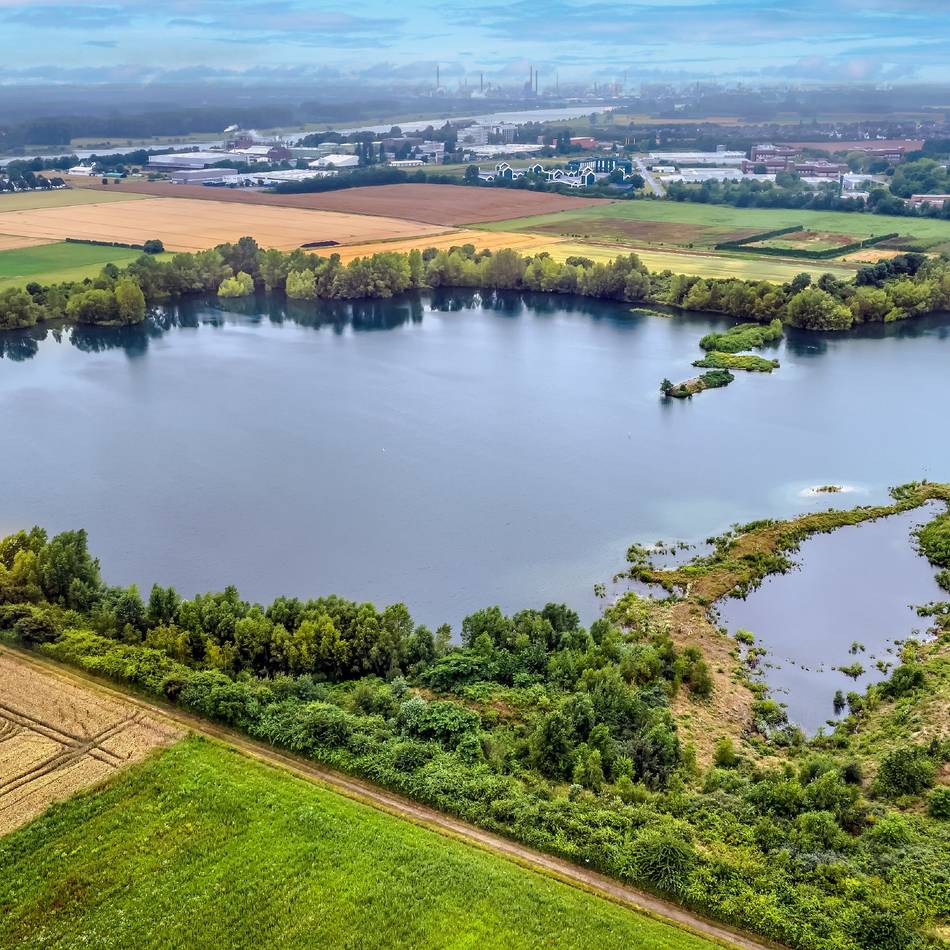 Vortrag in Leverkusen: „Großer Lauschangriff“ auf Vogelwelt am Hitdorfer Buschbergsee