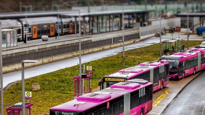 Schienenersatzverkehr rund um Leverkusen: Nach Beschwerden – Bahn schult ausländische Busfahrer nach