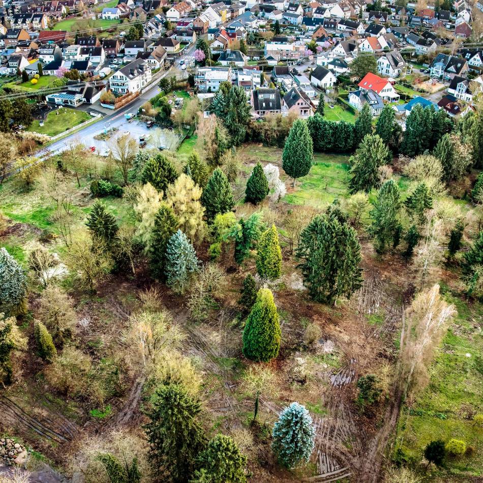 Stadt Monheim hat Gelände gekauft: Hartholzauenwald entsteht auf ehemaligem Kleingartengelände