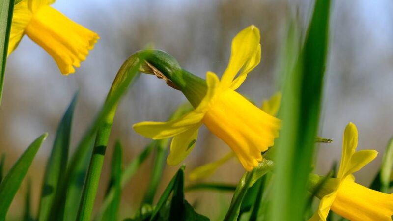 Kolumne Bildgedanken: Heilmittel