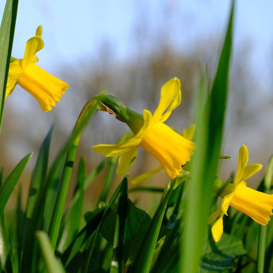 Kolumne Bildgedanken: Heilmittel