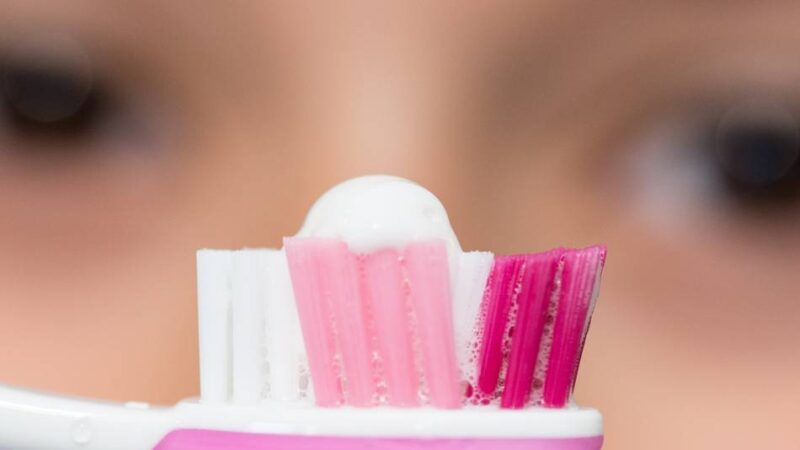 Gesamtschule Kevelaer bei „Jugend forscht“: Schüler forschen zu Äpfeln, Zahnbürsten und dem Trinkvorrat im Rucksack