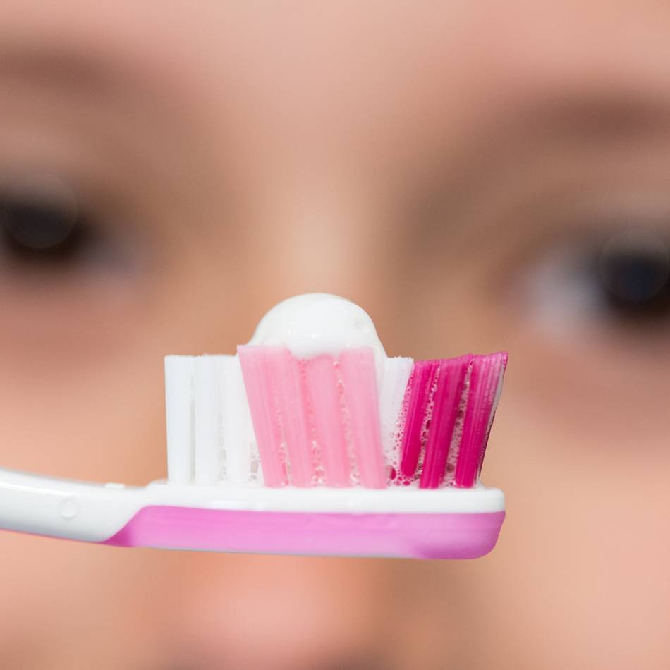 Gesamtschule Kevelaer bei „Jugend forscht“: Schüler forschen zu Äpfeln, Zahnbürsten und dem Trinkvorrat im Rucksack