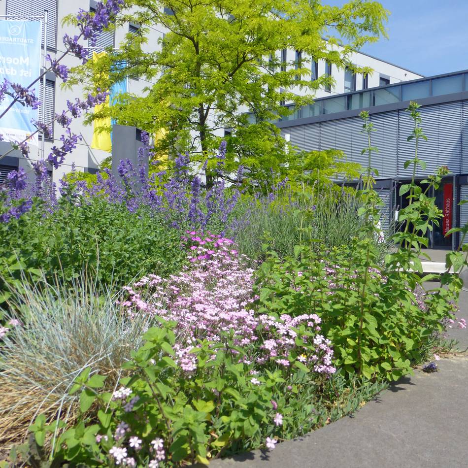 Mitmach-Projekt: Gemeinsam die Artenvielfalt in Moers fördern