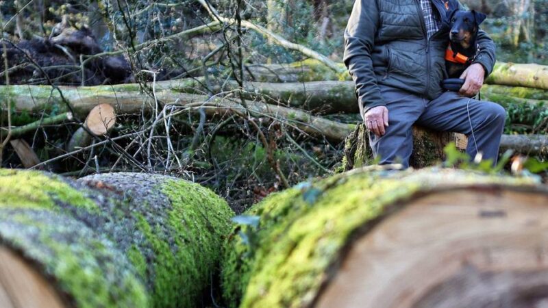 Landwirt Otto Liethen warnt vor wackeligen Bäumen und falschen Verboten: Mehr Balance fürs Neandertal gefordert