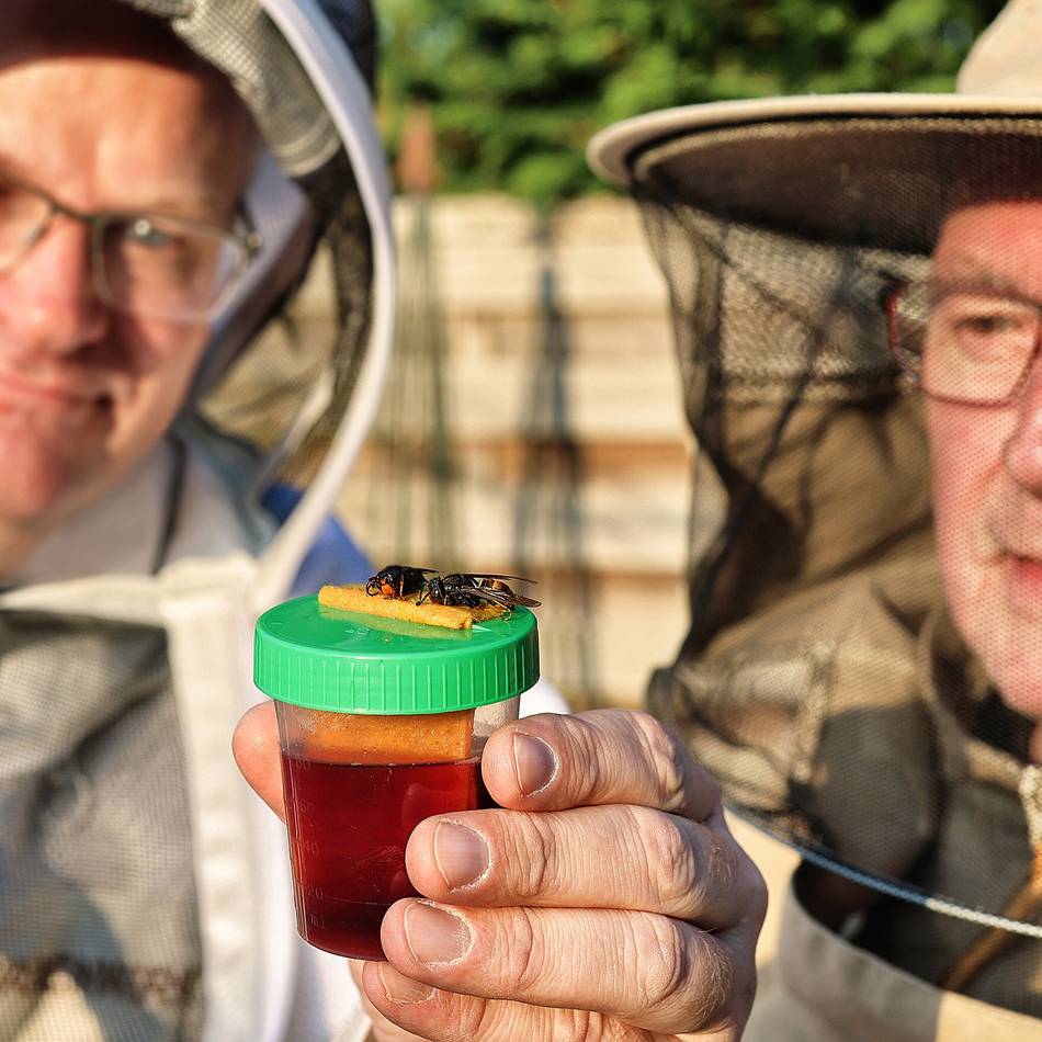 Existenzangst bei Imkern im Kreis Mettmann: „Dann pflücken Sie hier keinen Apfel mehr vom Baum“