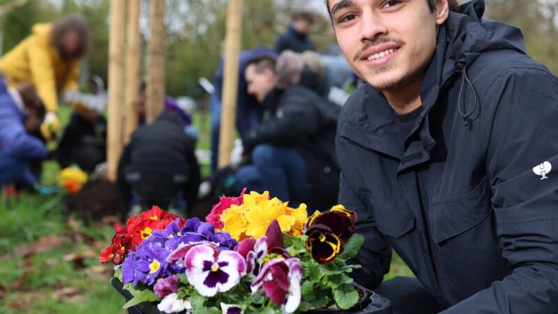 Stadtwald in Mettmann: Aule Mettmanner pflanzen Bäume
