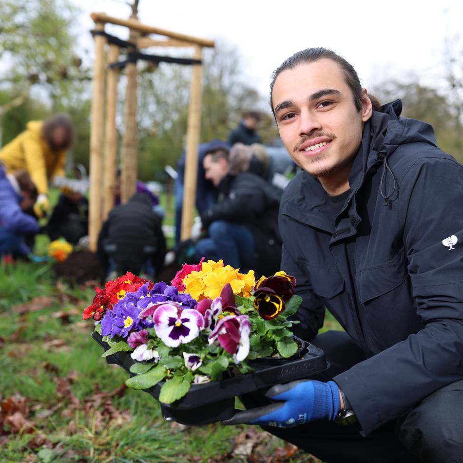 Stadtwald in Mettmann: Aule Mettmanner pflanzen Bäume