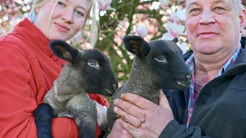Gut einkaufen in der Region: Ostern mit Gutem aus Hofläden feiern