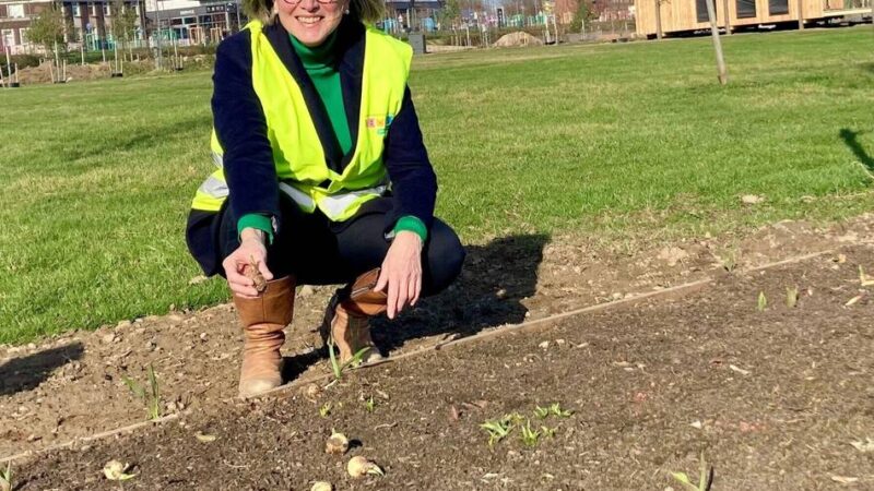 Laga Neuss will Schonzeit für Gänse aufheben: „Wir stehen mit den Tieren nicht auf Kriegsfuß“