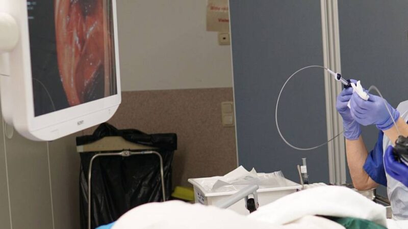 Kolumne Gesundheit!: Keine Angst vor Darmkrebsvorsorge!