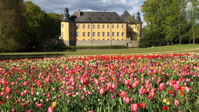 Schloss Dyck in Jüchen: Karten für den Schlossfrühling zu gewinnen