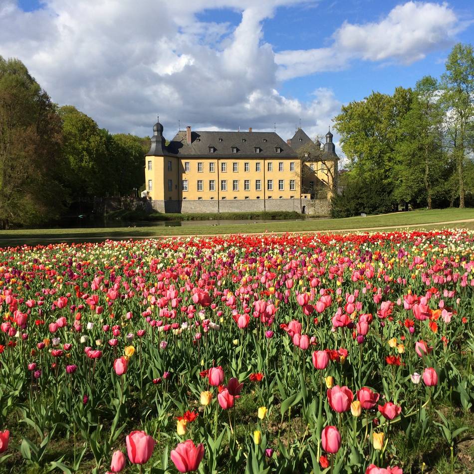 Schloss Dyck in Jüchen: Karten für den Schlossfrühling zu gewinnen
