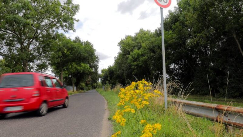 Haushaltspolitik in Rheinberg: Wo die Grünen sparen und wo sie investieren wollen