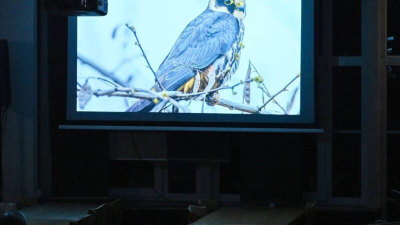 Wermelskirchener Hobby-Fotograf: Ein Gefühl von heiler Welt