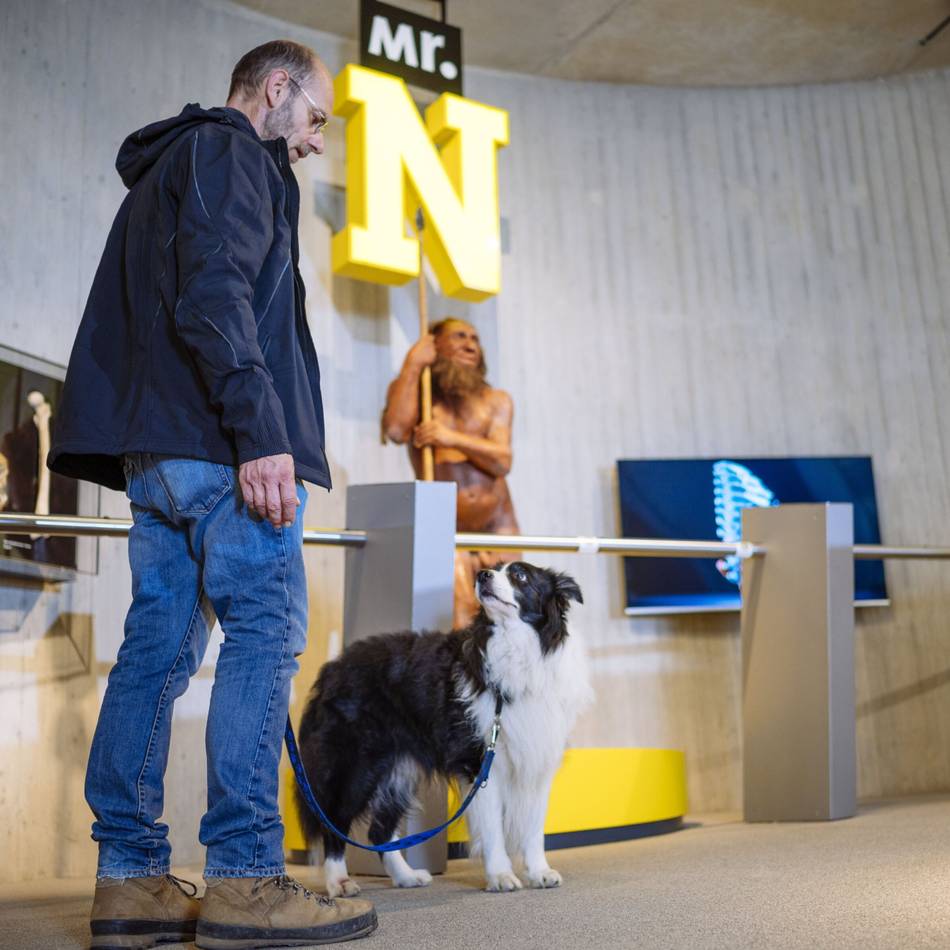 Hunde im Museum: Das steckt hinterm „Doggy Day“ im Neanderthal Museum