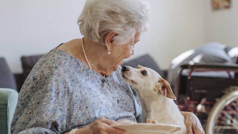 Vortrag in Dormagen: Im Alter zu Hause wohnen bleiben
