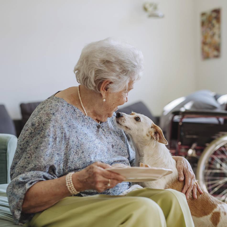 Vortrag in Dormagen: Im Alter zu Hause wohnen bleiben