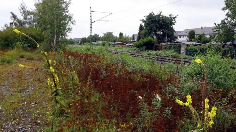 Bürger können am 18. April mitreden: Stadt Rheinberg will Brachfläche an der Bahnlinie entwickeln