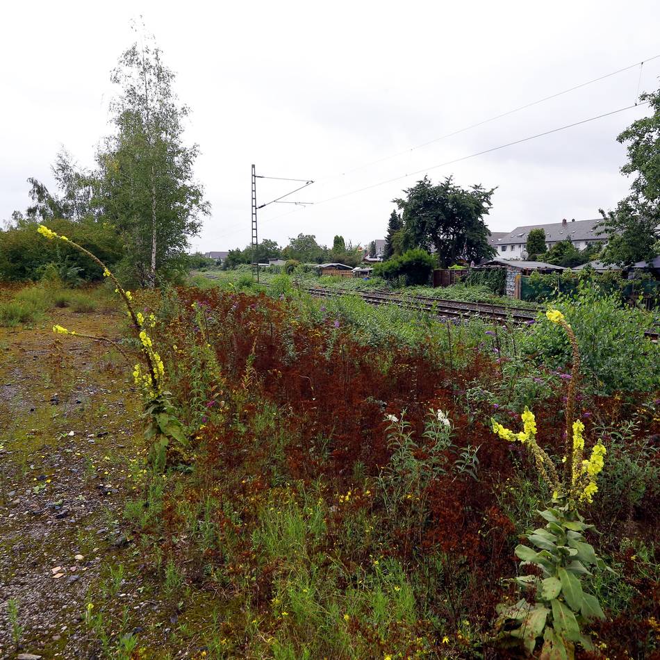 Bürger können am 18. April mitreden: Stadt Rheinberg will Brachfläche an der Bahnlinie entwickeln