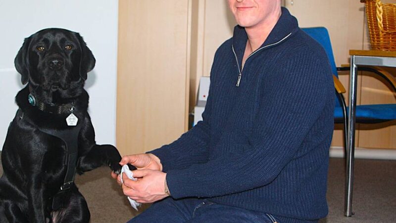 ASB bietet Kurse in Krefeld an: Wenn der Hund Erste Hilfe braucht