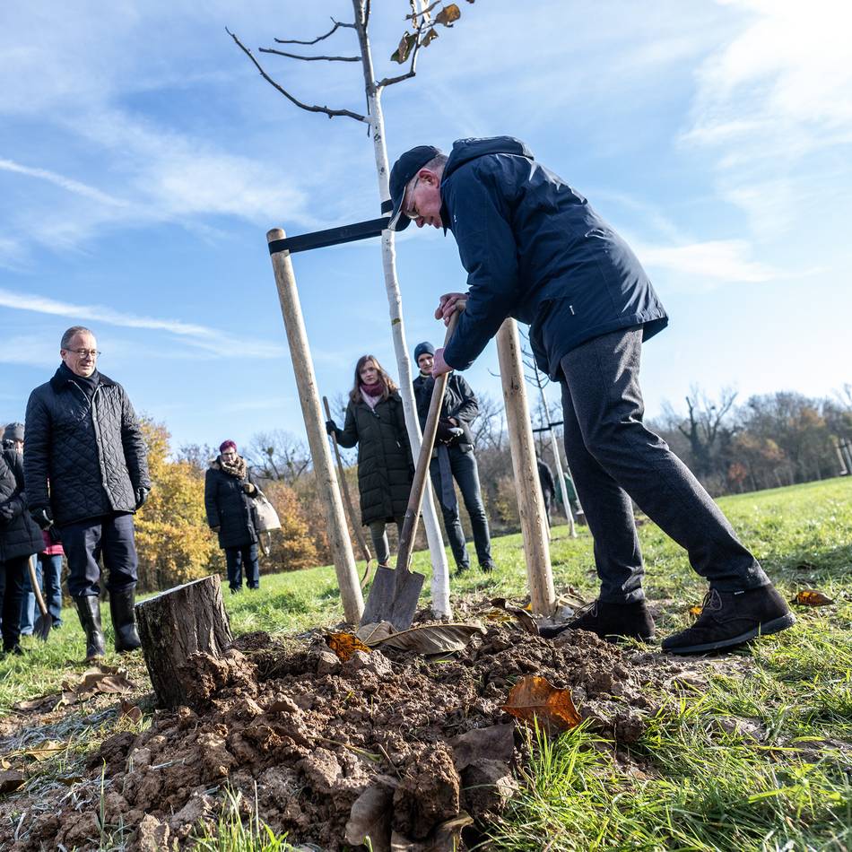 Natur in Rommerskirchen: Pflanzaktion am Hoeninger Wäldchen