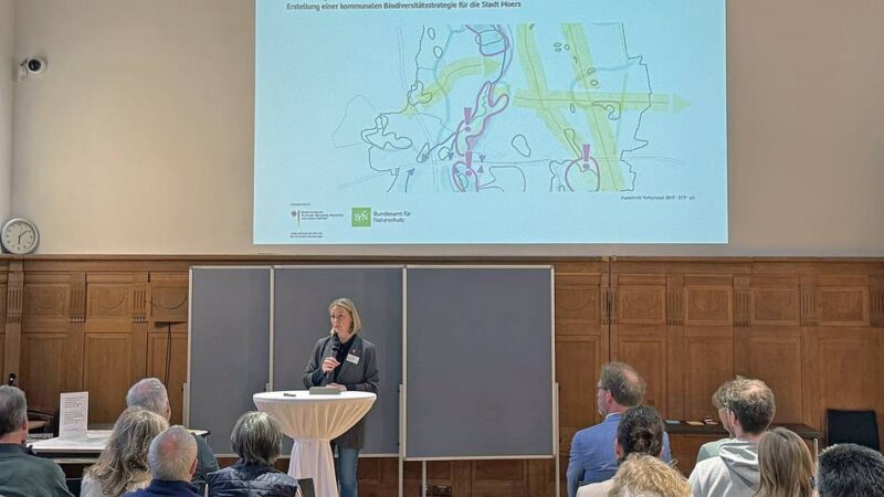 Bürgerbeteiligung in Moers: Konzept für mehr Artenvielfalt in der Stadt nimmt Gestalt an