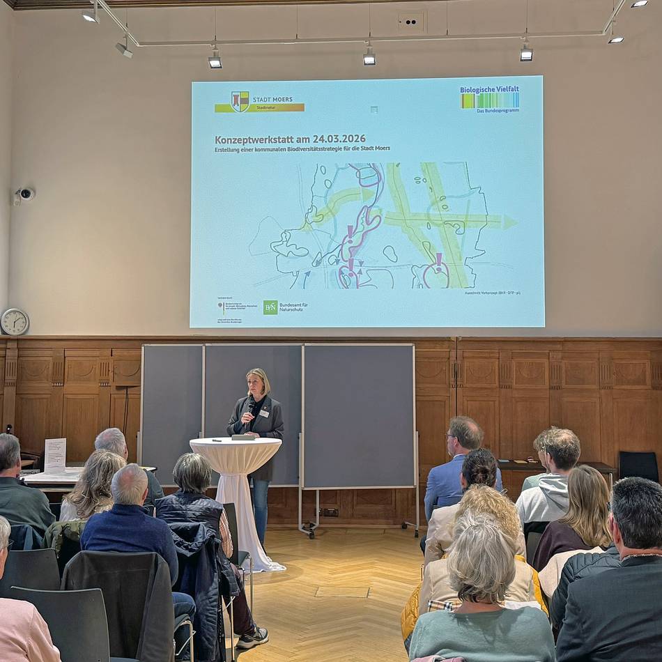 Bürgerbeteiligung in Moers: Konzept für mehr Artenvielfalt in der Stadt nimmt Gestalt an