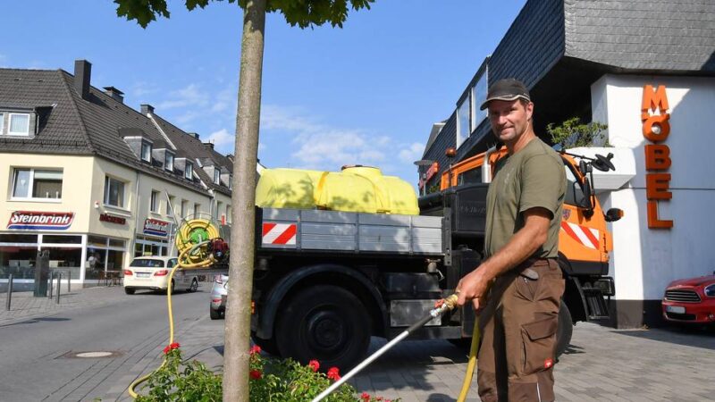 Präsentation im Umweltausschuss: Radevormwalder Innenstadt hat zu wenig Bäume