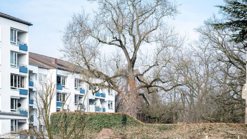 Hausmesse im Hildener Haus Horst: Soziale und pflegerische Berufe entdecken