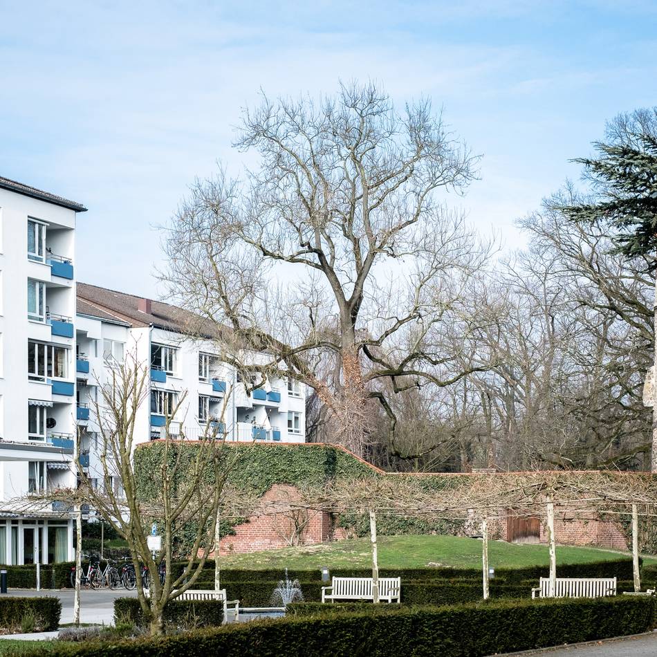 Hausmesse im Hildener Haus Horst: Soziale und pflegerische Berufe entdecken