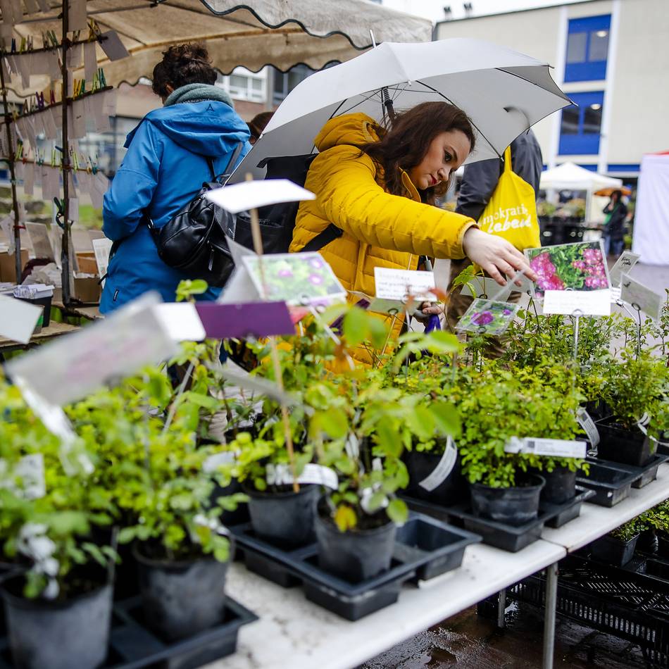 Tipps für Obst- und Gemüseanbau in Düsseldorf: Lecker und selten – das gab es beim Saatgut-Festival zu entdecken