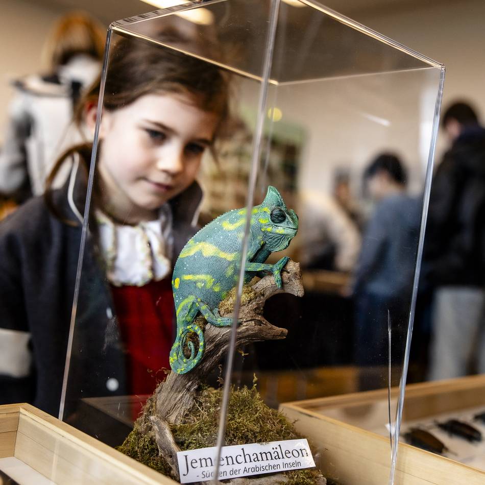 Insektenschau in Düsseldorf: Das große Krabbeln – Kinder entdecken Glitzerkäfer und leuchtende Skorpione
