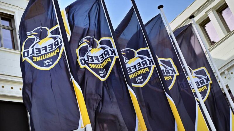 Playoffauftakt in der DEL2: Ganz Krefeld im Pinguine-Fieber