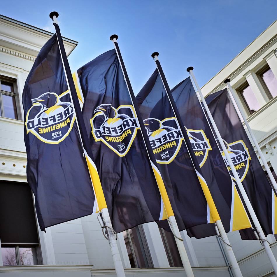 Playoffauftakt in der DEL2: Ganz Krefeld im Pinguine-Fieber