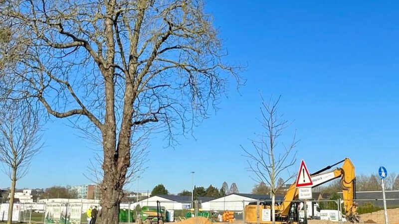 Infoveranstaltung in Mönchengladbach: Bau von neuer Gesamtschule löst Sorgen bei Anwohnern aus