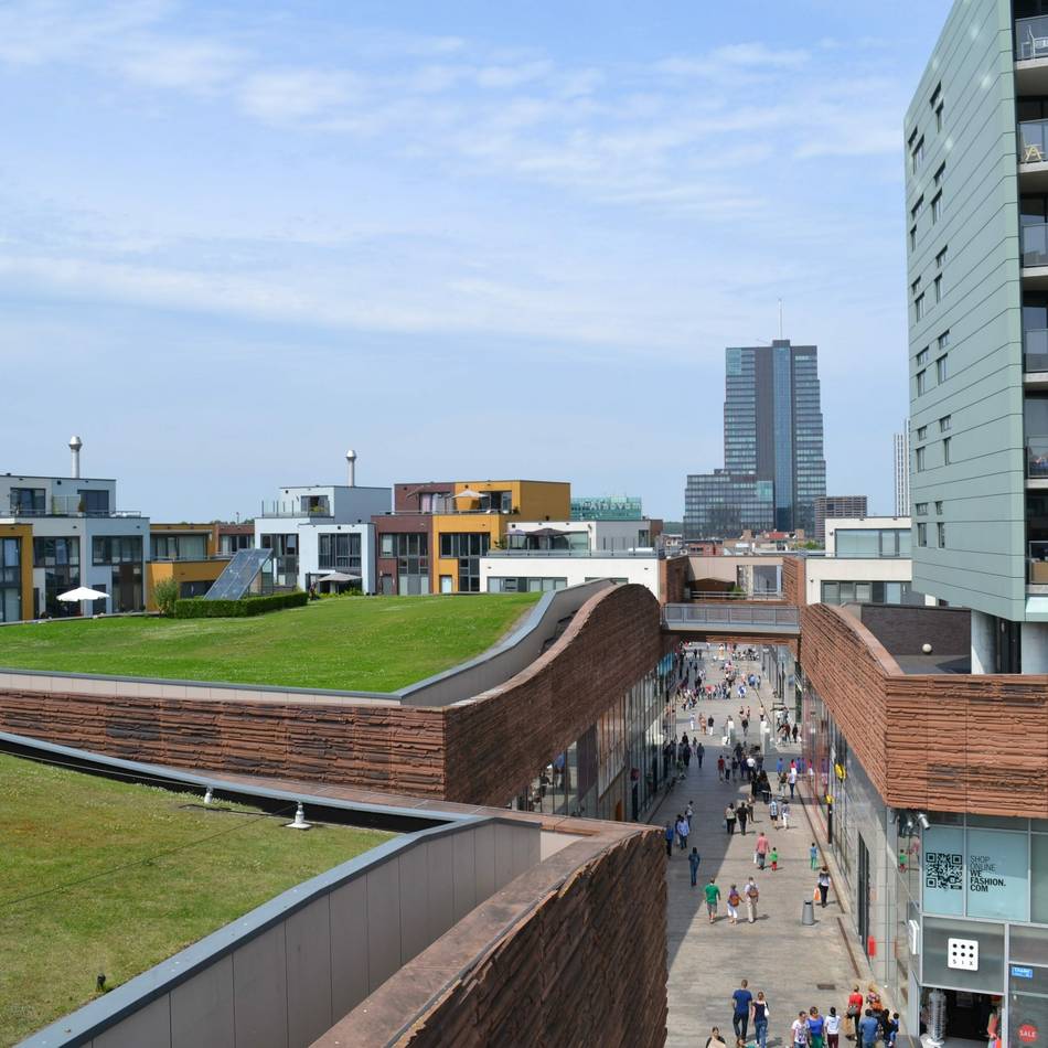 Scharfe Kritik von Menschenrechtlern: Niederländische Stadt verhängt Versammlungsverbot ab drei Personen