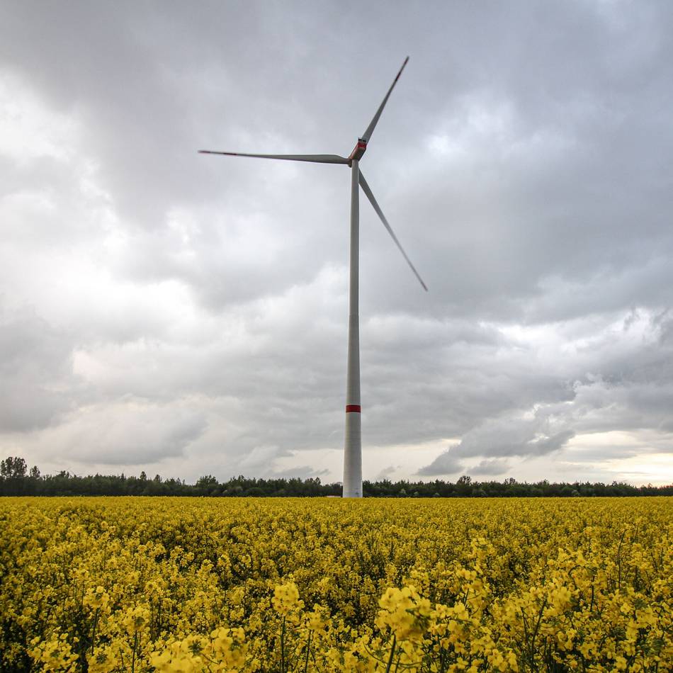 Ab sofort bewerben: Windkraftförderung für Vereine in Niederkrüchten