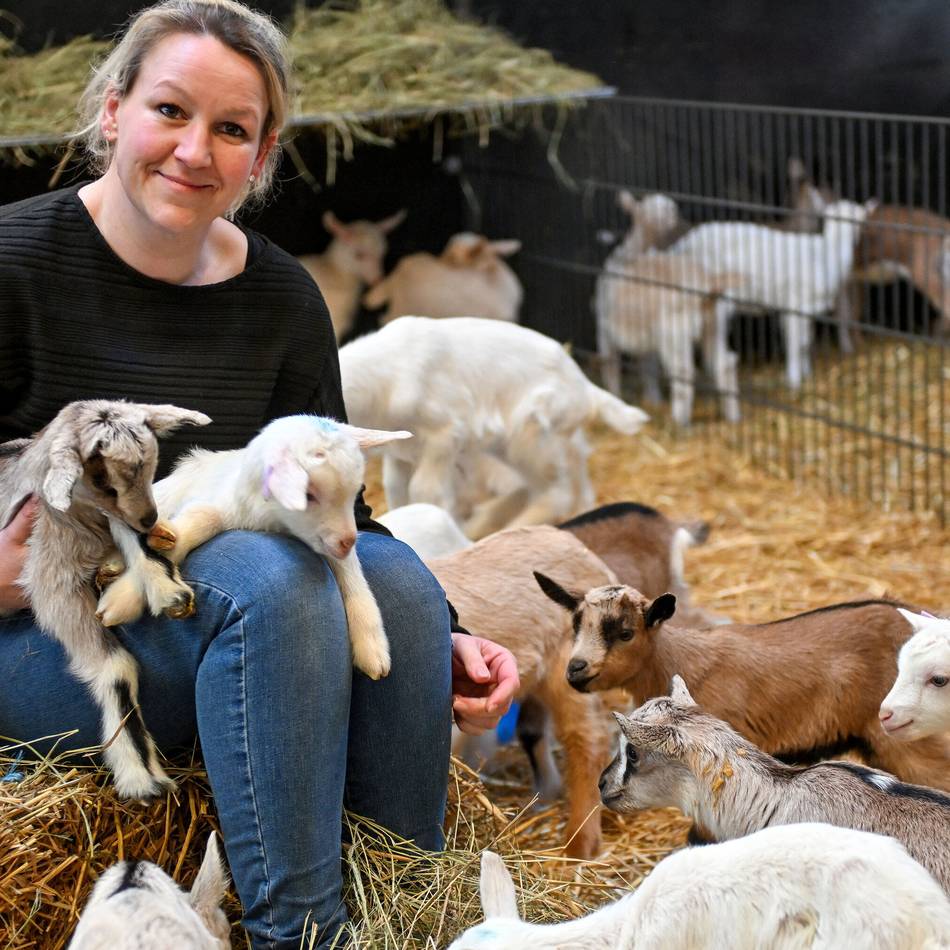 In Vinkrath hat das Lammen eingesetzt: So süß sind die neugeborenen Kitze auf dem Bööscher Ziegenhof
