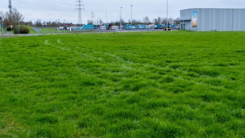 Im Mönchengladbacher Nordpark: Betriebsgelände von Mags und GEM soll wachsen