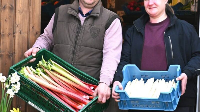 Verkäufe im Kreis Viersen haben angefangen: Spargelsaison beginnt so früh wie nie