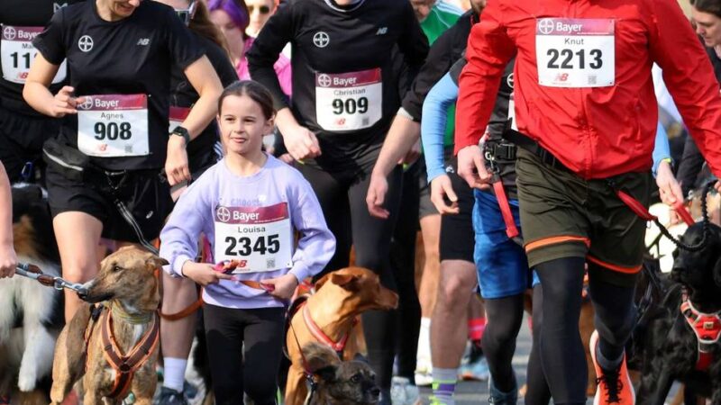 „Rund ums Bayer-Kreuz“ in Leverkusen: Treff der Lauffans auf zwei Beinen und vier Pfoten
