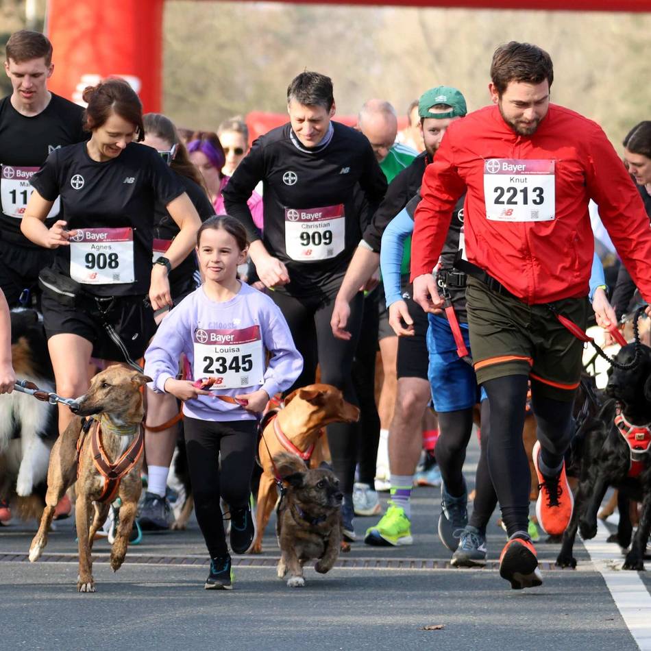 „Rund ums Bayer-Kreuz“ in Leverkusen: Treff der Lauffans auf zwei Beinen und vier Pfoten